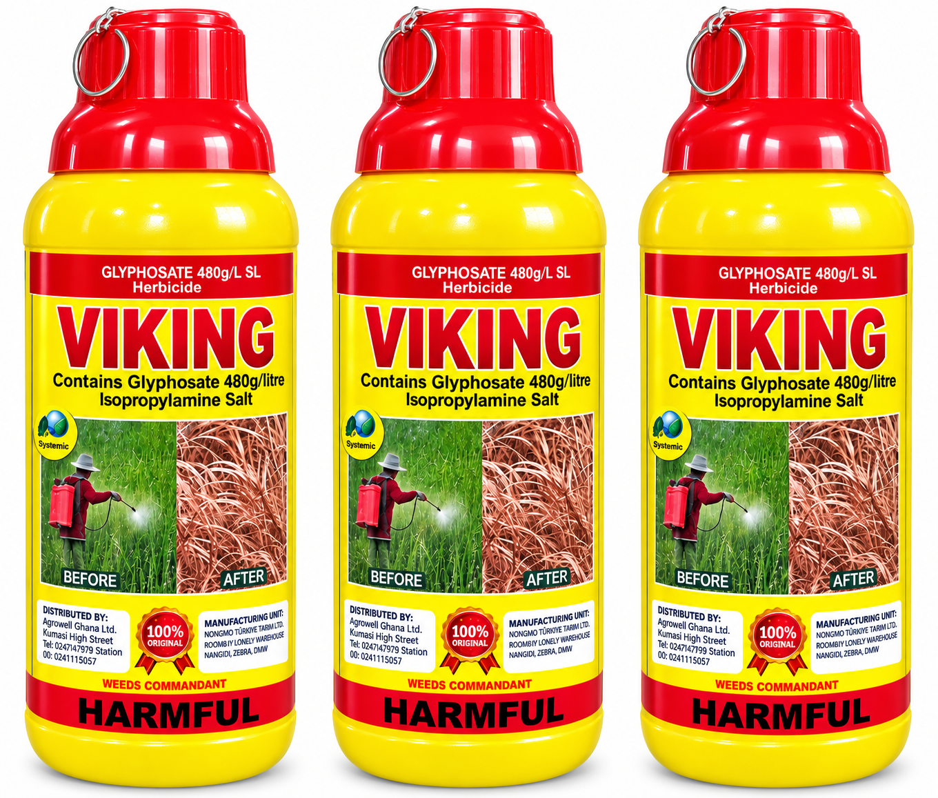 Viking